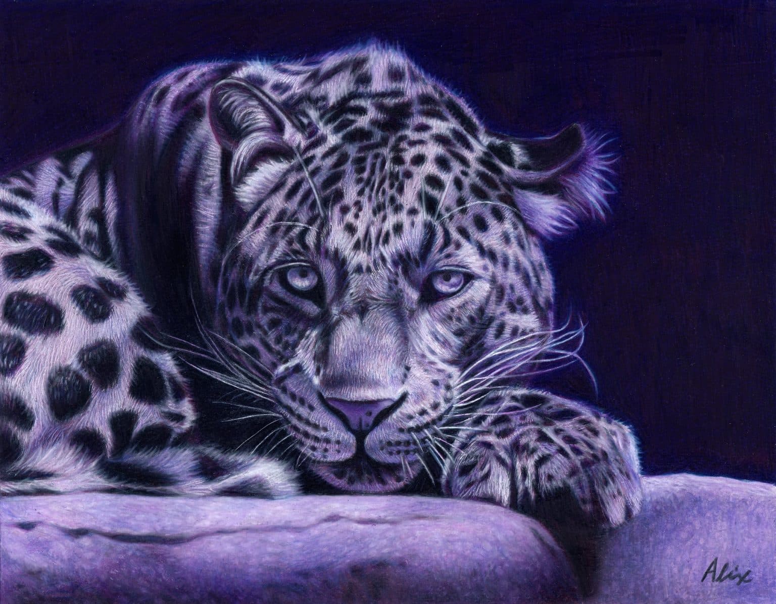 Colored Pencil Magazine Monochromatic Art Challenge Advanced Winner